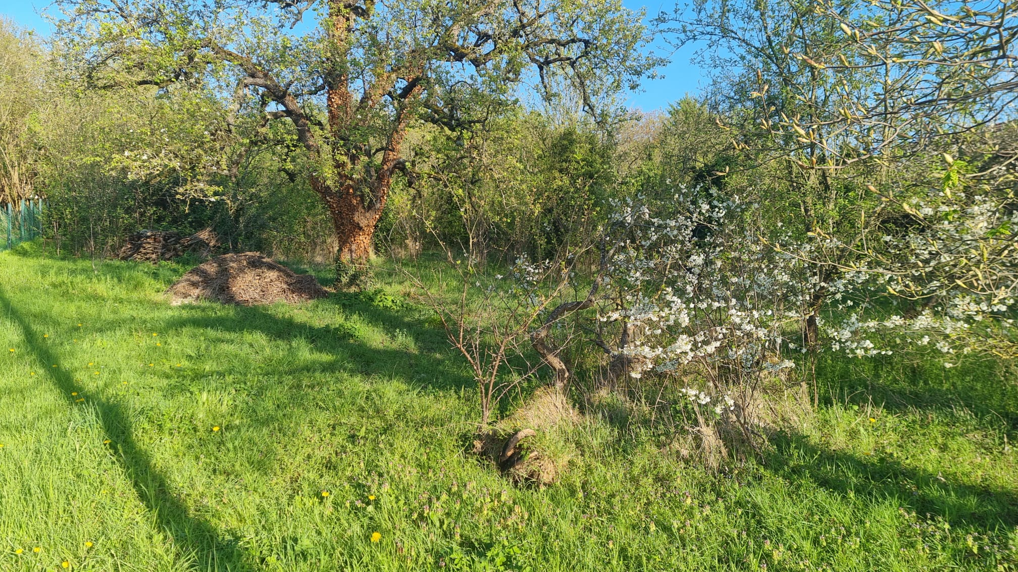 IMG-20260529-WA0022